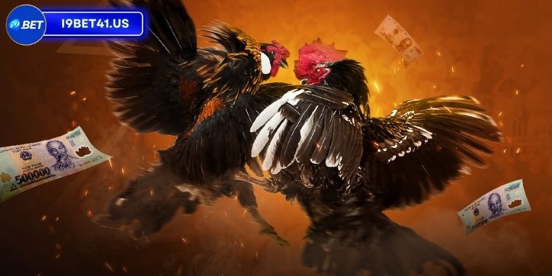 Trang Web Đá Gà Trực Tiếp I9BET, Địa Chỉ Không Thể Bỏ Qua 3 An toàn và minh bạch cho người tham gia khi cược